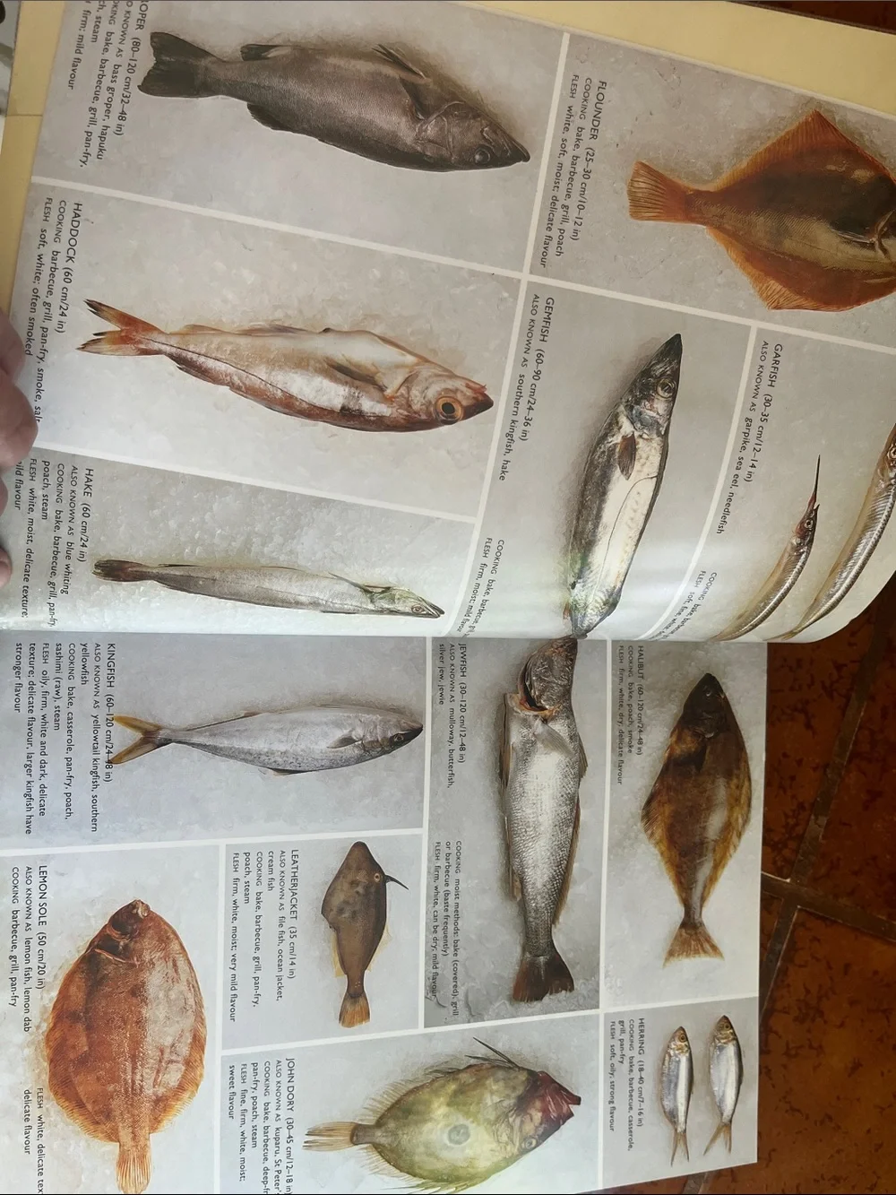 The essential seafood cookbook